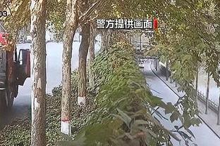 神鹰心水论坛截图1